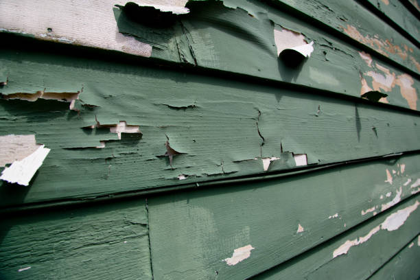 Best Retail Junk Removal  in Ivyland, PA